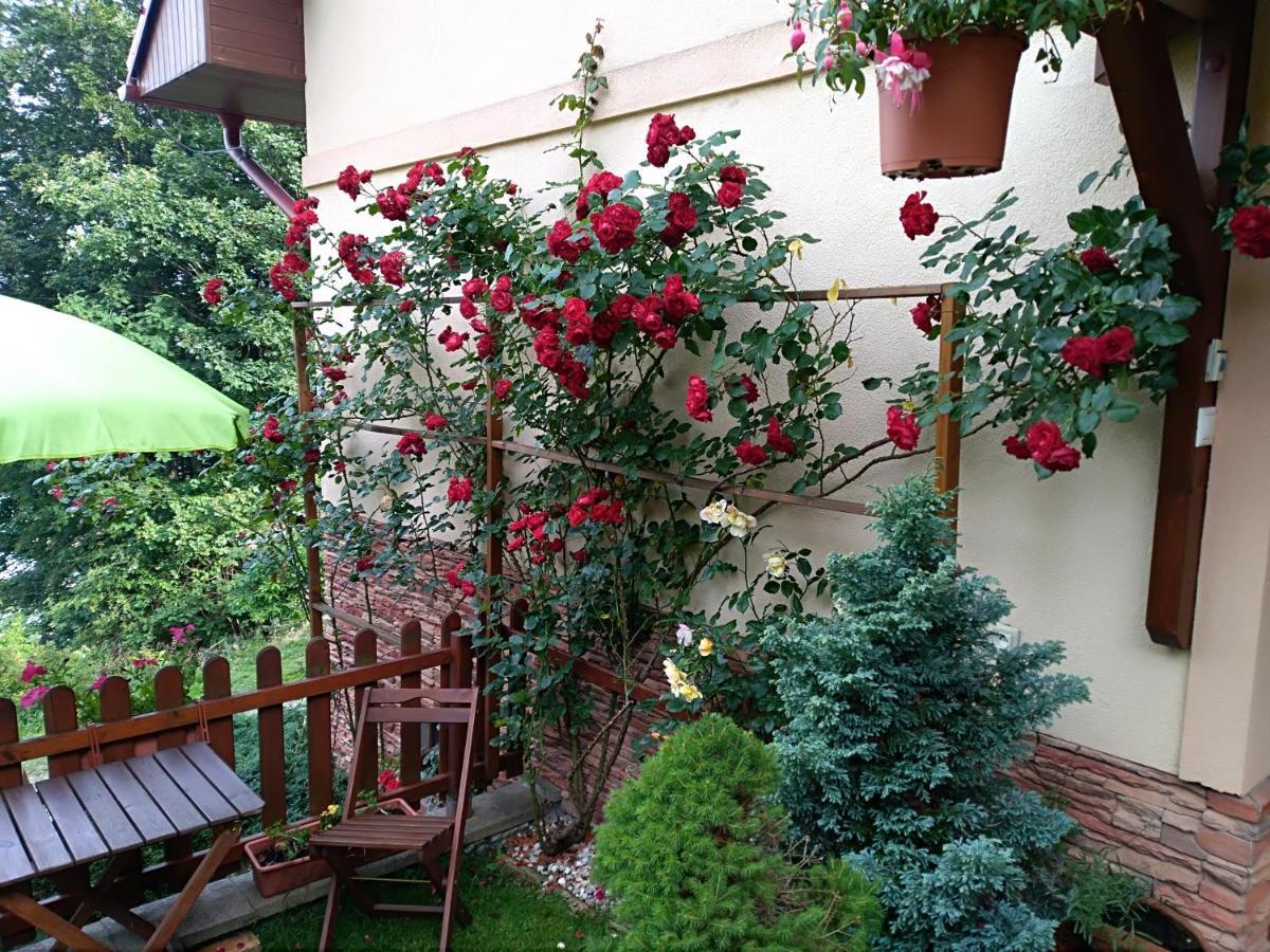Apartman Donovaly Misuty 586 Екстер'єр фото